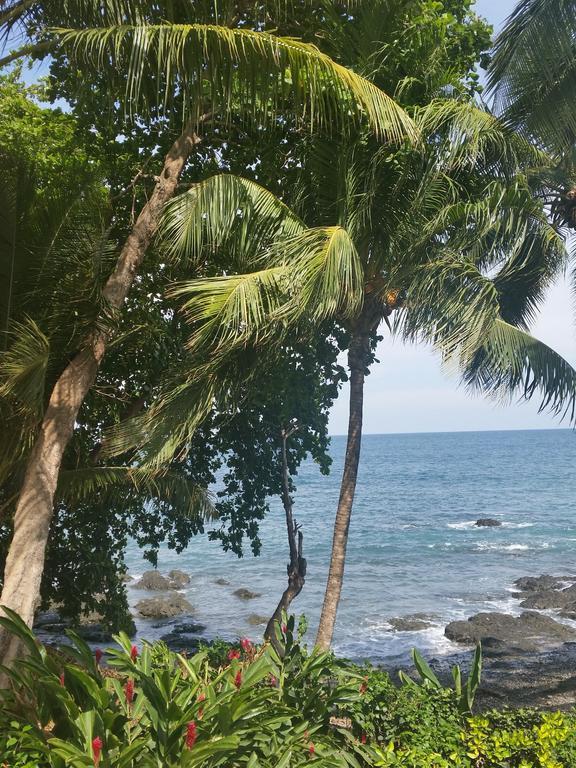 Hotel Cabinas Mar Y Cielo Монтесума Екстер'єр фото